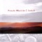 Saudade - Renato Martins lyrics