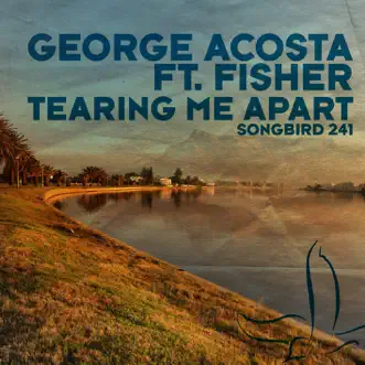 Tearing Me Apart by George Acosta album reviews, ratings, credits