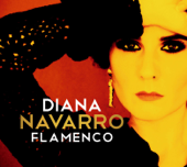 Flamenco - Diana Navarro