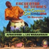 Titanes de la Cumbia: Afrosound & los Warahuaco, 2007