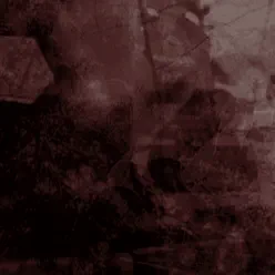 Auditory Illusions - The Telescopes