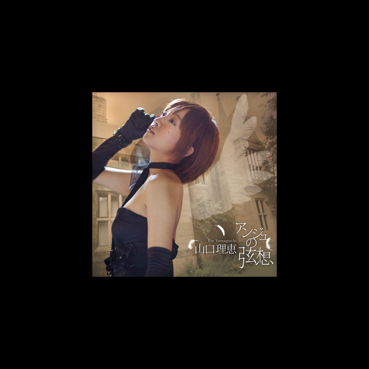 山口理恵の Rie Yamaguchi Birthday Album アンジュの弦想 をapple Musicで