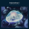 Anjunadeep 02 (Mixed by Jaytech & James Grant)
