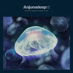 Anjunadeep 02 (Mixed by Jaytech & James Grant) by Jaytech & James Grant album reviews, ratings, credits
