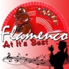 Flamenco At It's Best, 2010