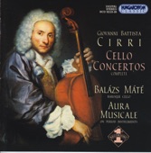 Concerto No 3 in D major, II. Adagio artwork