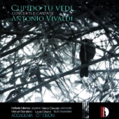 Concerto in la minore, RV 440: Allegro non molto (Per traversiere, archi e basso continuo) artwork