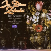 Trio Sonatas ZWV 181 (complete) for 2 oboes, Bassoon and Basso continuo (2 CD set) artwork