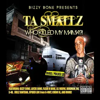 It's My Time (feat. Juelz Santana, Orlando Brown & Lil J) by Ta Smallz song reviws