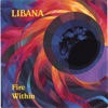 Fire Within, 1993