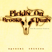 Pickin' On Brooks & Dunn - The Bluegrass Tribute (Special Edition) artwork
