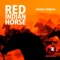 Red Indian Horse (Robin Hirte Remix) - Jonny Calypso lyrics