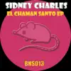 Stream & download El Chamán Santo - Single