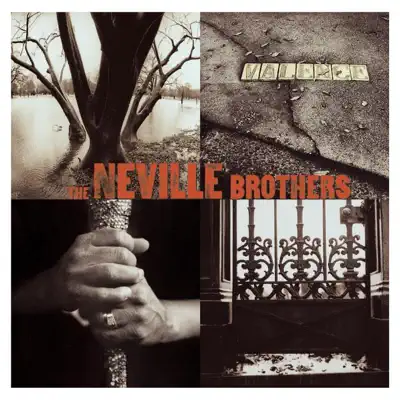 Valence Street - Neville Brothers