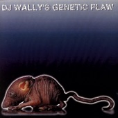 DJ Wally - Space People
