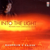 Into the Light - Mandolin Meets Contemporary Sounds artwork