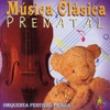 Música Clásica Prenatal