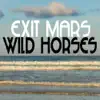 Wild Horses - Single album lyrics, reviews, download