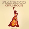 Flamenco - Chill & House Compiled By DJ Puku, 2009