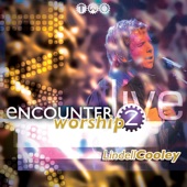 Encounter Worship, Vol. 2 artwork