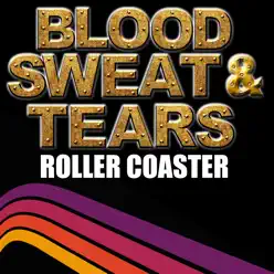 Roller Coaster - Blood Sweat and Tears