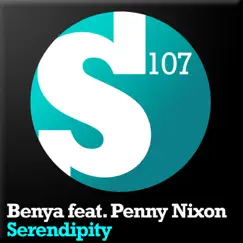 Serendipity (Midnight Mix) Song Lyrics