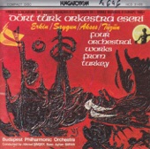 Turkish Orchestral Works artwork
