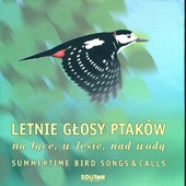 Letnie Głosy Ptaków - Swan, Duck, Deep and a Lark Quail