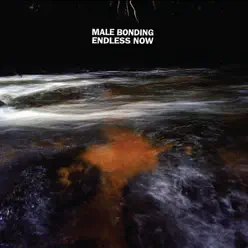 Endless Now - Male Bonding