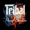 Tribal and Progressive House Session, Vol. 1 (Balearic Drums and Best of Tribalistic House Grooves), 2012