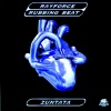 Rayforce -Rubbing Beat-