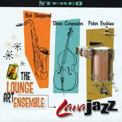 Lava Jazz - Peter Erskine Lava Jazz - Peter Erskine
