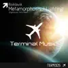 Metamorphosis / Lighting - Single album lyrics, reviews, download