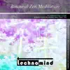 Binaural Zen Meditation - Single album lyrics, reviews, download