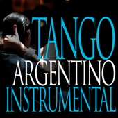 Tango Argentino Instrumental - Verschiedene Interpreten
