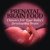 Prenatal Brain Food - Classics For Your Baby's Developing Brain artwork