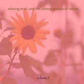 Relaxing Music & The Calming Sounds of Nature, Vol. 7 artwork