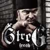 Fresh - Single