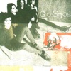 Gossos - Borratxo