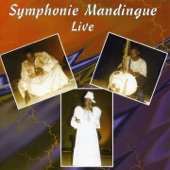 Symphonie Mandingue - Live artwork