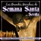 Pasan los Campanilleros, Cofrades artwork