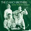 Luck of the Irish album lyrics, reviews, download