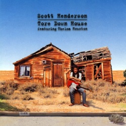 Scott Henderson - Mocha