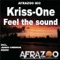 Feel the sound (Jason Cheiron remix) - Kriss-One lyrics