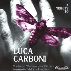 A Tribute To Luca Carboni - The Coverbeats A Tribute To Luca Carboni - The Coverbeats