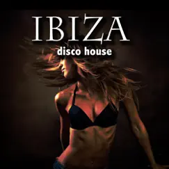 Ibiza Disco House by Various Artists album reviews, ratings, credits