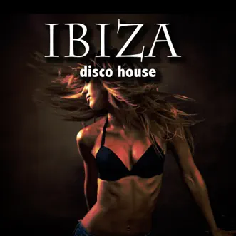 Ibiza Disco House by Various Artists album reviews, ratings, credits