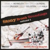 Stony Brook Soundings, Vol. 1