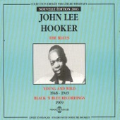 John Lee Hooker - I'm So Worried Baby