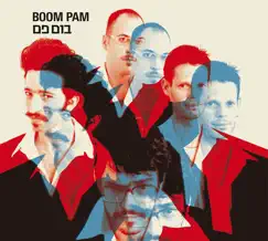 Boom Pam by Boom Pam album reviews, ratings, credits